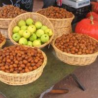 FOIRE DES SAVEURS D'AUTOMNE
