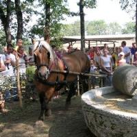 Fête des vieux métiers