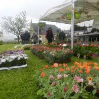 MARCHE AUX FLEURS