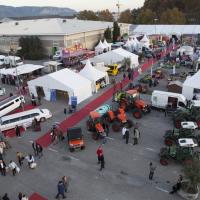 foire de cavaillon