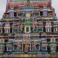 Saint-Paul Fête Tamoul de Pongol