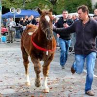 La Foire aux chevaux à l'ancienne