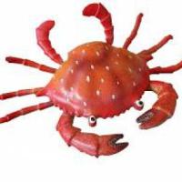 Fete du crabe, Fest noz
