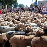 fête de la transhumance