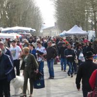 FOIRE A TOUT D'AZE
