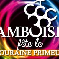 Touraine Primeur Amboise