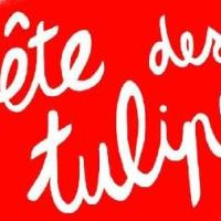 Fête des Tulipes