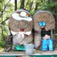 Fete des Boeufs Gras de Bazas