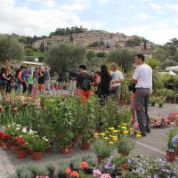 ECOFLORE Fete des Plantes et des Jardins