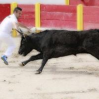 Course landaise SAINT PEE SUR NIVELLE mercredi