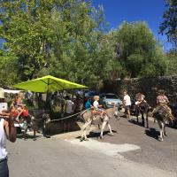 Foire de l'Amandier des métiers de la création de Corse