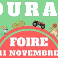 Foire de la Saint Martin 11 novembre