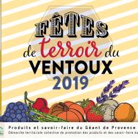 Balade oenotouristique au domaine du Chêne Bleu