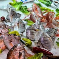 Marché aux poissons