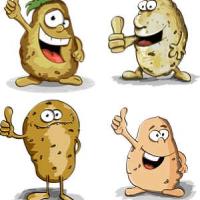 Fête de la pomme de terre