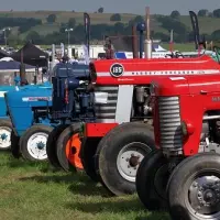 Foire d'Automne / Foire Saint-Martin