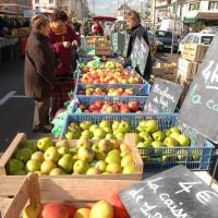 MARCHE DES MAILLETS - LE MANS
