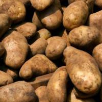 PATATES A LA CREME