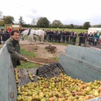FETE DE LA POMME ET DE LA CHATAIGNE