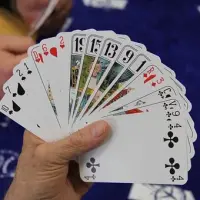 Tarot club 43 LE MONASTIER SUR GAZEILLE&nbsp; (43)