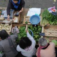 Marché d'Arles samedi
