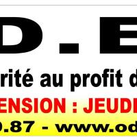 ODER 95: La grande brocante d'entraide