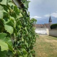 Visite guidée Thomery, un site unique en France