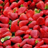 marché aux fruits rouges