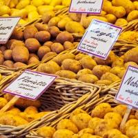 FÊTE DE LA PATATE