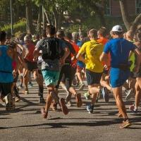 Corrida de Noel
