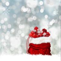 Marché de Noel de Longny-au-Perche