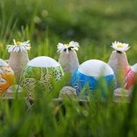 Chasse à l'oeuf