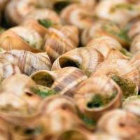 FÊTE DES ESCARGOTS