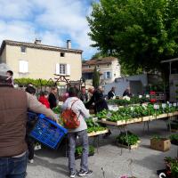 foire aux fleurs