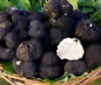 FÊTE DE LA TRUFFE