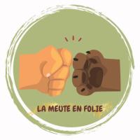 Festival du chien 🐶