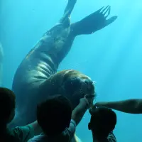 Le Seaquarium