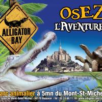 Alligator bay