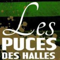 Les puces des halles