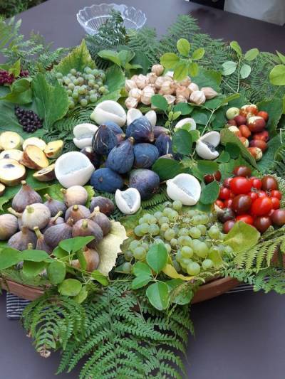 Découverte de l'univers des fruits comestibles