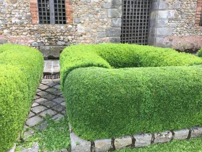 Visite du Jardin Médiéval