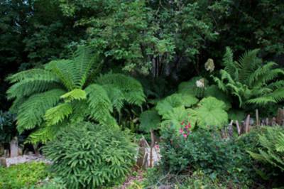 Visite libre du jardin de la Poterie