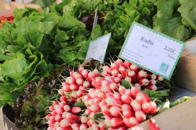 MARCHÉ SAMEDI MATIN À NOYEN-SUR-SARTHE