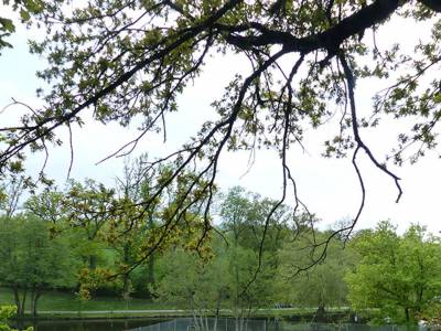 Camping La Peyrade