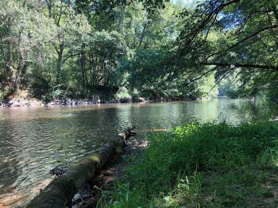 Camping du Pont de Saint Gal
