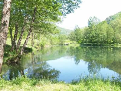 Camping La Marmotte