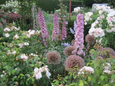 Découvrez le jardin de la Cardonnerie