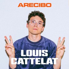 Louis Cattelat