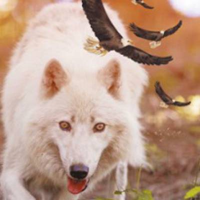 Parc Animalier de Courzieu