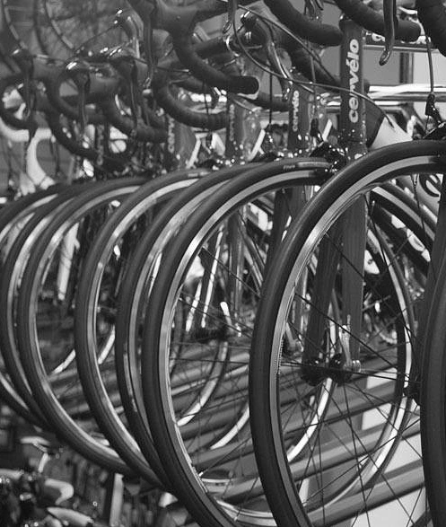 Rando VTT